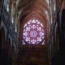 the-rose-window avatar