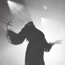 the-roses-are-singing-blog avatar