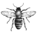 the-royal-apiary avatar