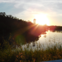 the-sad-qoutes avatar