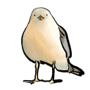 the-sad-seagull avatar