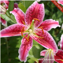 the-sadness-behind-these-eyes avatar