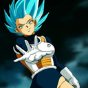 the-saiyan-princess avatar