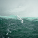 the-salt-water-cure avatar