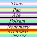 the-salty-gay avatar