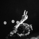 the-sarcastic-owl avatar