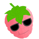 the-savvy-raspberry avatar