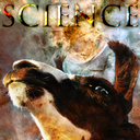 the-science-llama avatar