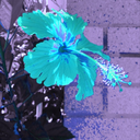 the-science-side-of-tumbblr avatar