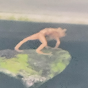 the-sesamestreetnightclub avatar