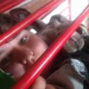 the-sheep-whisperer368 avatar