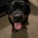 the-sixth-hokage avatar