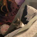 the-skirt-whore avatar