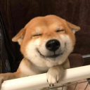 the-sky-doge avatar