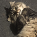 the-small-manz avatar