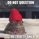 the-snake-is-a-lie avatar