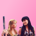 the-sober-folly avatar