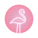 the-solitaire-flamingo avatar