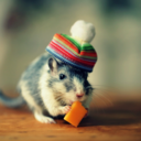 the-sound-in-my-head avatar