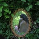 the-spark-of-a-prime avatar