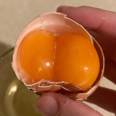 the-spectatrix avatar