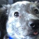 the-spooky-seinfeld-noises-blog avatar