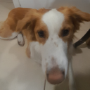 the-squid-man avatar