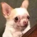 the-starbucky avatar