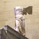 the-state-of-insanity avatar