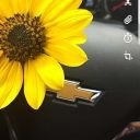 the-stoned-sunflower avatar