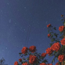 the-stories-of-us avatar