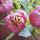 the-story-about-life avatar