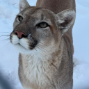 the-strangest-person-ever avatar