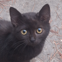 the-strangesthing avatar