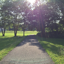 the-stronger-the-better avatar