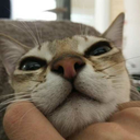 the-stuffsworld avatar