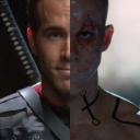 the-sugar-snail avatar