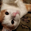 the-sun-blended-blog avatar