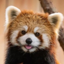 the-sun-system avatar