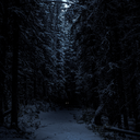 the-suspended-sky avatar