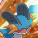 the-swampert avatar