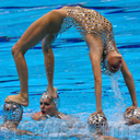 the-synchrolife avatar