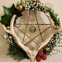 the-tamed-wolf avatar