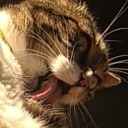 the-tardis-and-impala-bring-hope avatar