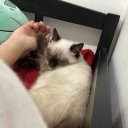 the-tav3rn-0wner avatar