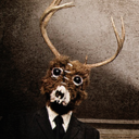 the-taxidermy avatar