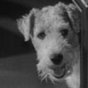 the-thin-man-1934-blog avatar