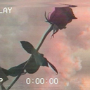 the-thinkingpoet avatar