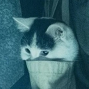 the-third-night avatar