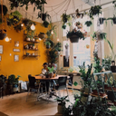 the-thought-of-colour avatar